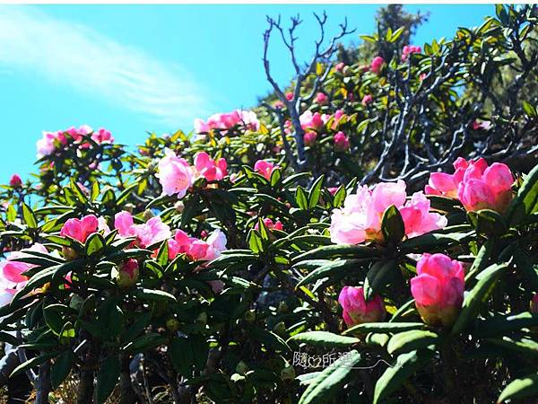 投影片11.JPG 投影片11.JPG