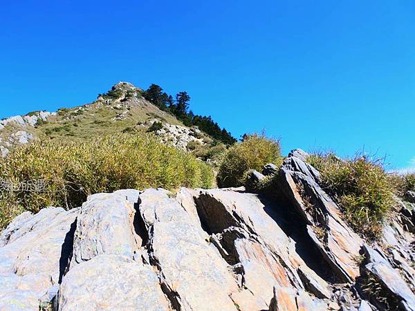 投影片5.JPG 投影片5.JPG