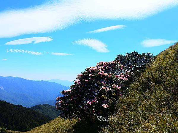 投影片13.JPG 投影片13.JPG