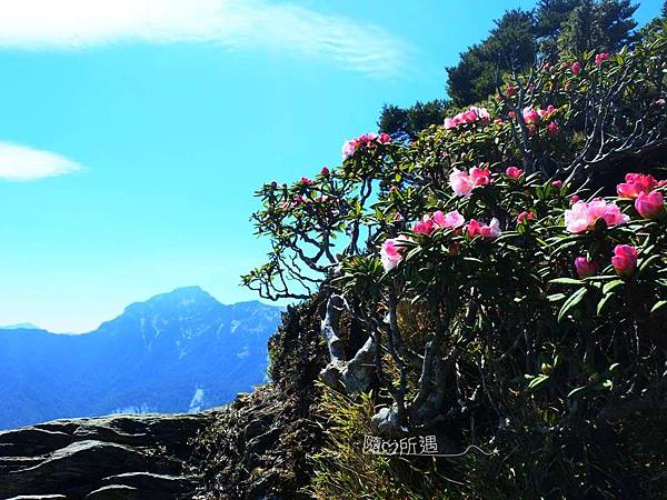 投影片12.JPG 投影片12.JPG