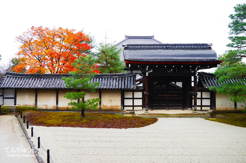 廖西瓜＠日本京奈自由行嵐山世界遺產天龍寺＆竹林17