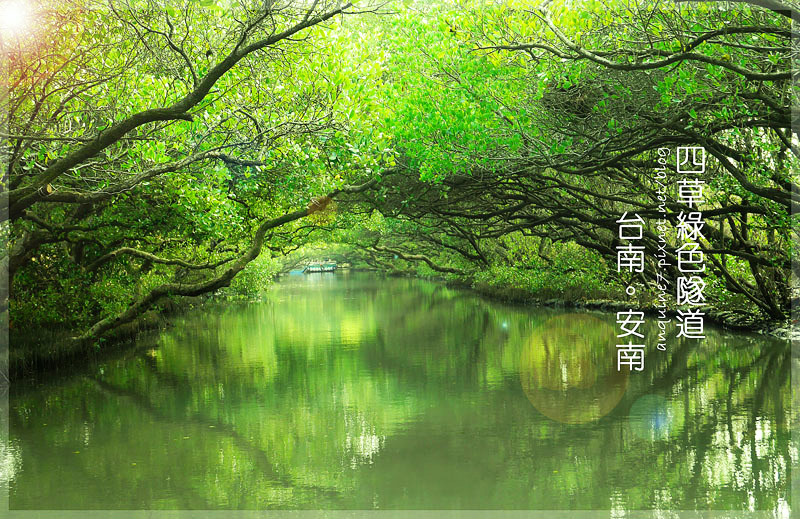 廖西瓜@台南安南區四草紅樹林綠色隧道台版亞馬遜封面 廖西瓜@台南安南區四草紅樹林綠色隧道台版亞馬遜封面