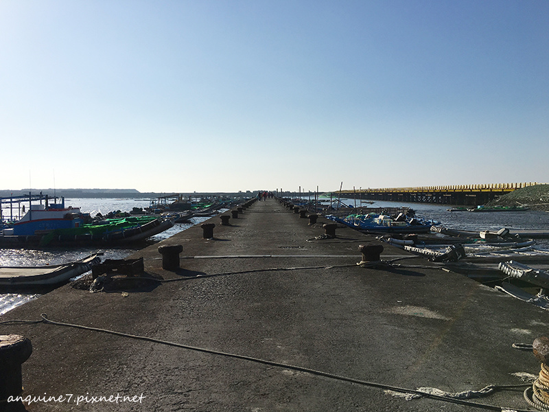 廖西瓜@雲林縣台西鄉活力海岸夢幻沙灘4.JPG