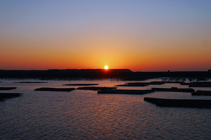 廖西瓜@雲林縣台西鄉活力海岸夢幻沙灘30.jpg