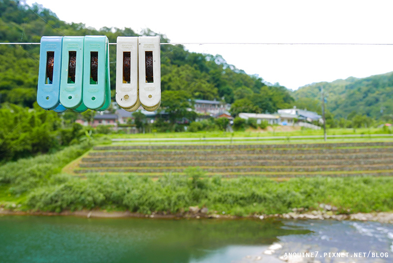 廖西瓜@新北市瑞芳區三貂嶺車站26.JPG