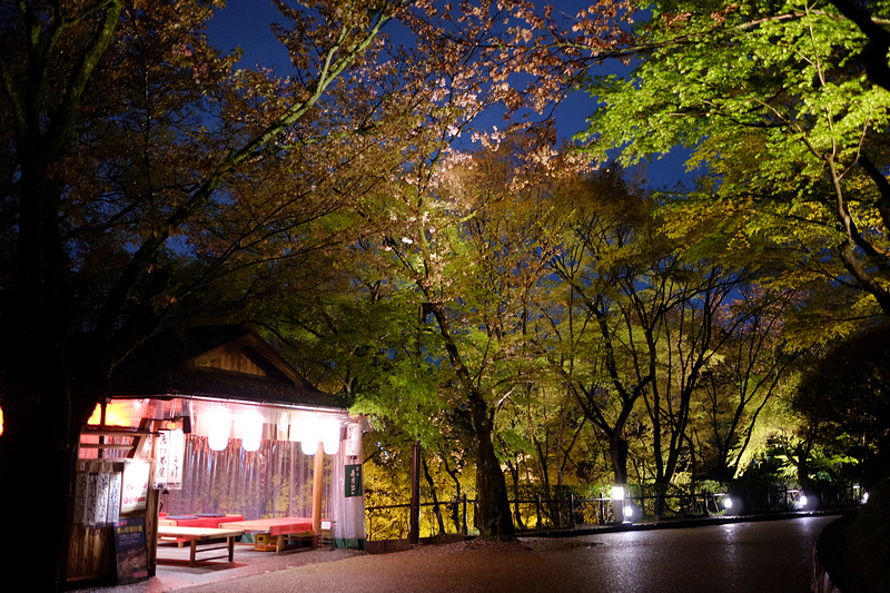 DSCF9198.jpg
