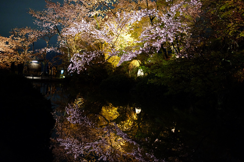 DSCF9202.JPG