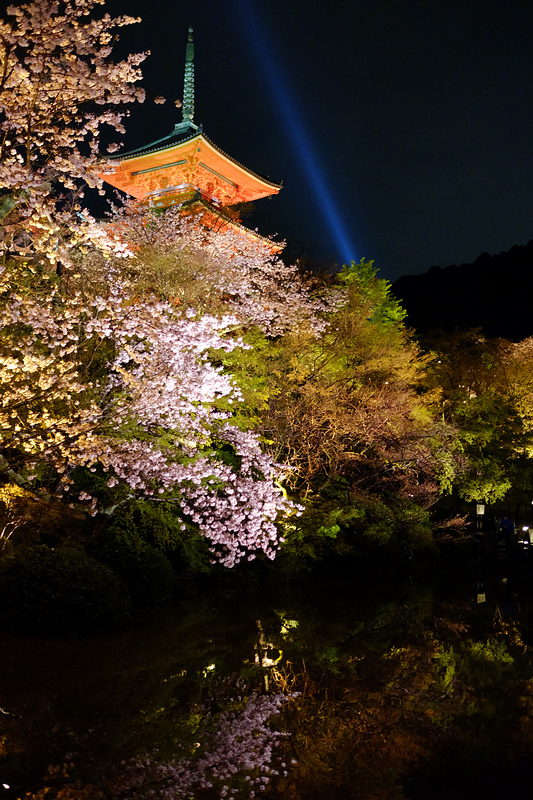 DSCF9203.JPG
