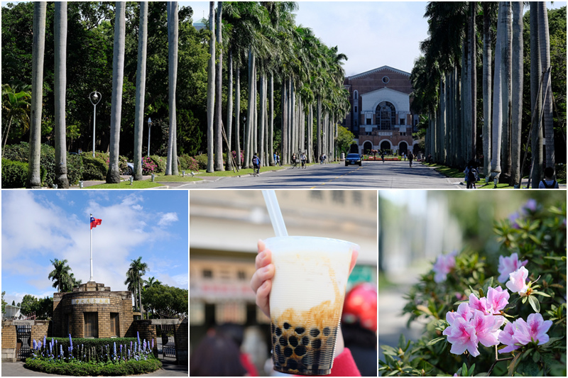 å°ç£å¤§å­¸.jpg