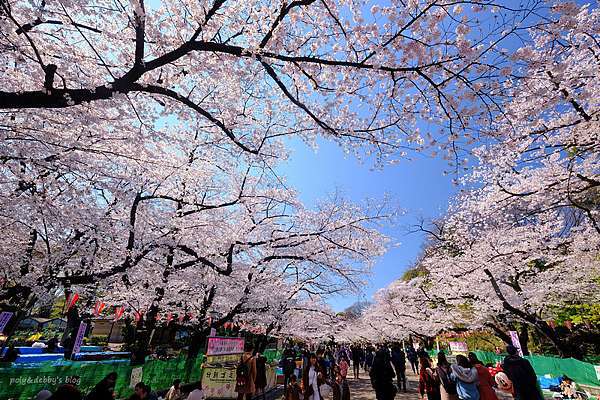 東京 上野公園地圖攻略 上野恩賜公園櫻花楓葉 交通美食必去彙整 波比看世界 痞客邦