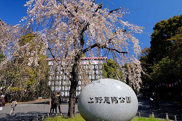 東京 上野公園地圖攻略 上野恩賜公園櫻花楓葉 交通美食必去彙整 波比看世界 痞客邦
