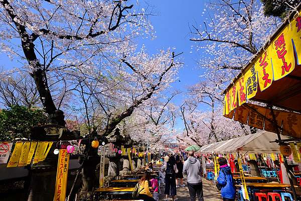 東京 上野公園地圖攻略 上野恩賜公園櫻花楓葉 交通美食必去彙整 波比看世界 痞客邦