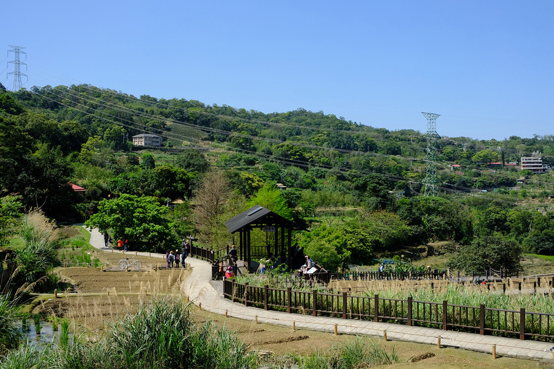 DSCF4908.JPG