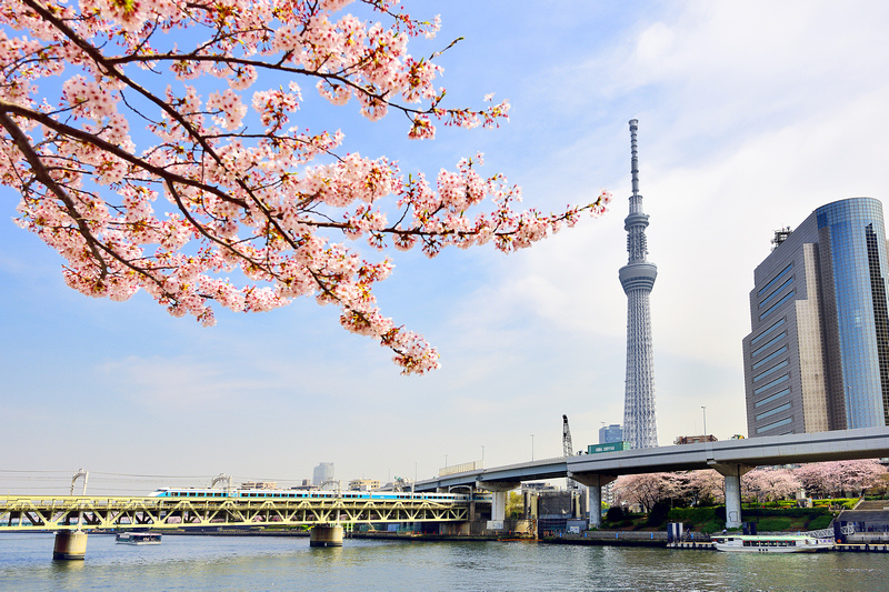 [遊記] 東京：隅田川公園  遊船夜景超浪漫