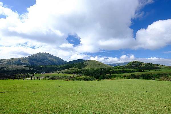 陽明山 擎天崗大草原步道 看牛開放免門票 公車交通怎麼去一日遊 波比看世界 痞客邦