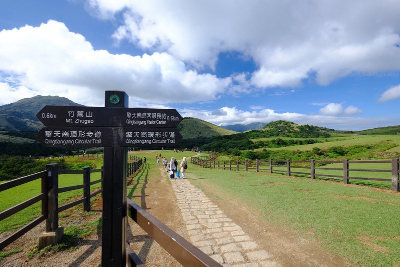 陽明山 擎天崗大草原步道 看牛開放免門票 公車交通怎麼去一日遊 波比看世界 痞客邦