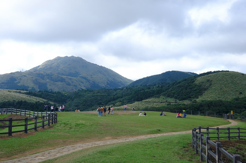 陽明山 擎天崗大草原步道 看牛開放免門票 公車交通怎麼去一日遊 波比看世界 痞客邦