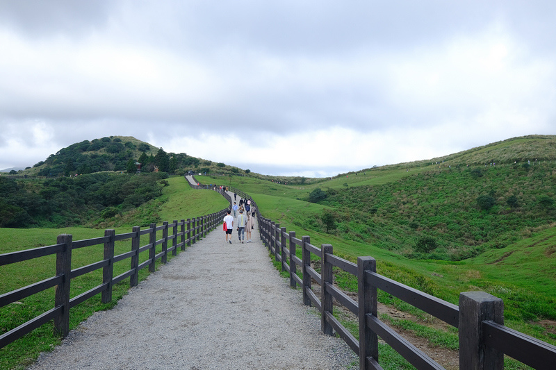 陽明山 擎天崗大草原步道 看牛開放免門票 公車交通怎麼去一日遊 波比看世界 痞客邦