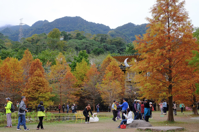 DSCF6313.JPG DSCF6313.JPG