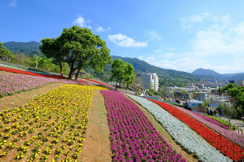 台北 北投社三層崎公園花海 台版北海道富良野 花況極好大推薦 波比看世界 痞客邦