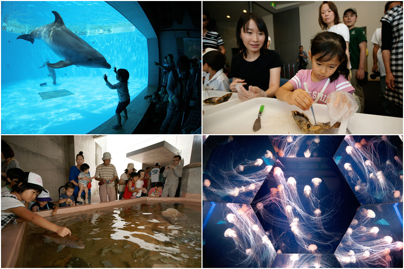 九十九島水族館