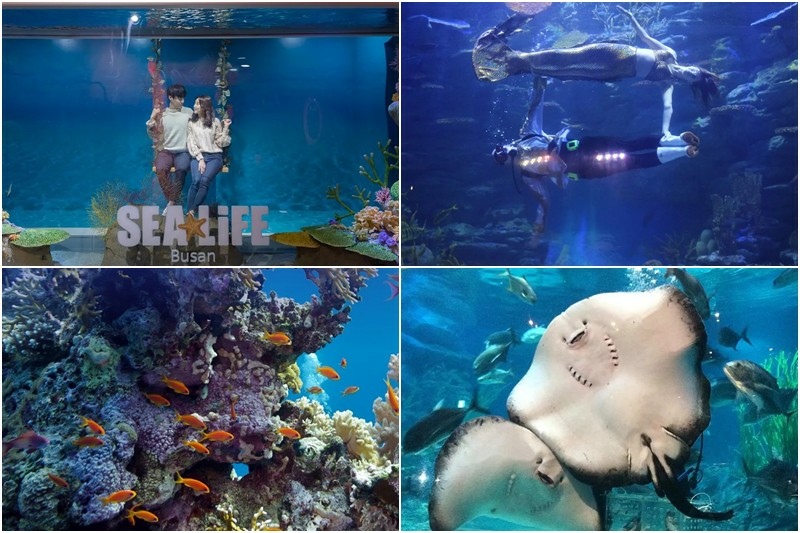 海雲台水族館.jpg