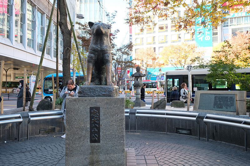 【東京】忠犬八公像＆澀谷十字路口：感人的故事，必拍知名打卡景