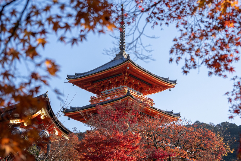 京都楓葉景點 23必去京都賞楓景點 紅葉時間情報 行程規劃全攻略 波比看世界 痞客邦