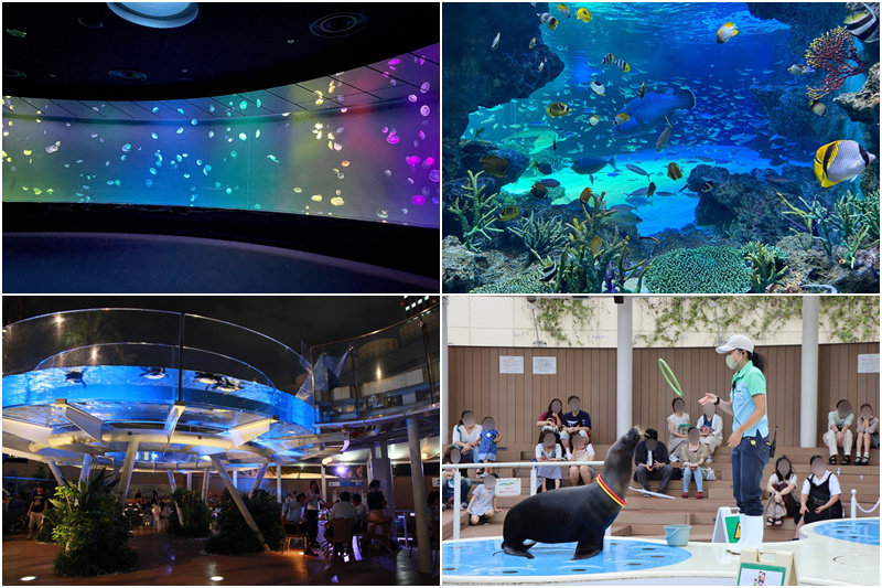 陽光水族館.jpg