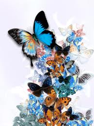 butterfly.3.jpg