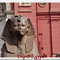 埃及博物館-1