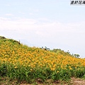 DSC_2823.jpg