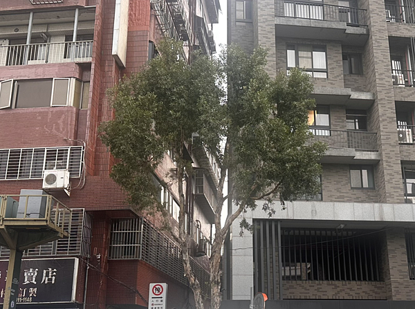 張雲維X賣厝阿明X安新建經 I 新北市推動都更再+1「微型