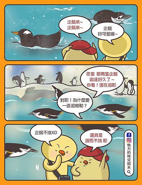 企鵝不捨.jpg