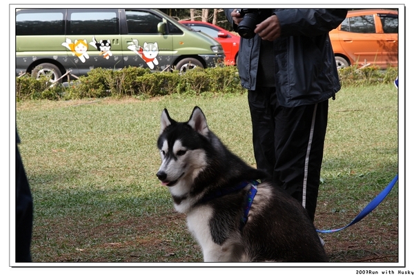 Run with Husky (218).jpg