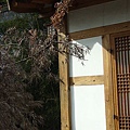 090129-018 北村韓屋村民宿 - Tea Guest House.JPG