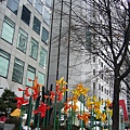 090125-276 清溪川.JPG