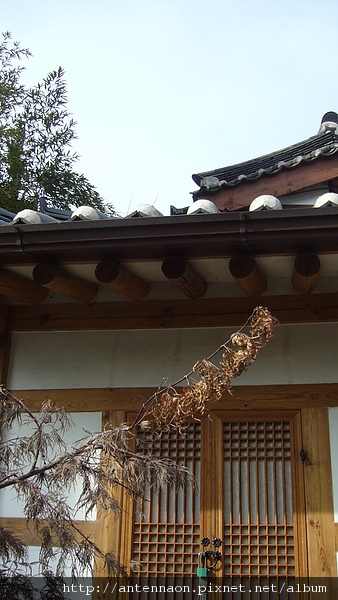 090129-030 北村韓屋村民宿 - Tea Guest House.JPG