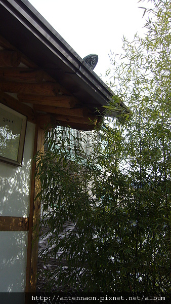 090129-032 北村韓屋村民宿 - Tea Guest House.JPG