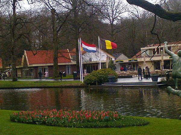 Keukenhof2008 (38)