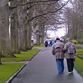 Keukenhof2008 (55)