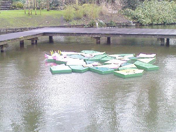 Keukenhof2008 (94)