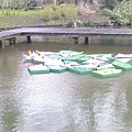 Keukenhof2008 (94)