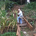 中階梯-釘梯模板.jpg