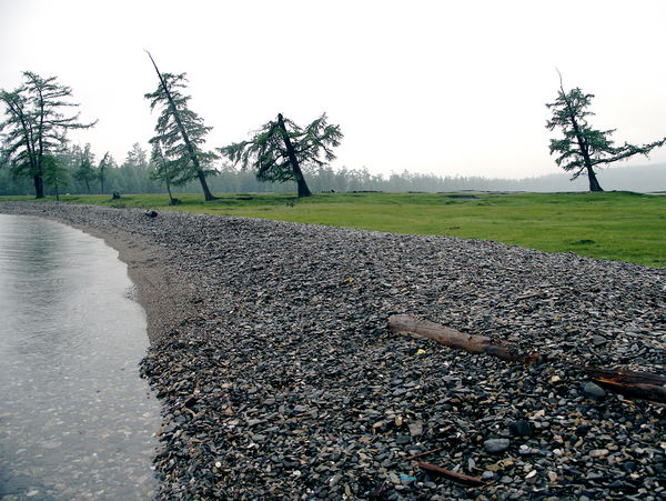 雨中散步