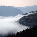 雲海