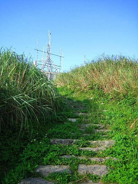 山頂近在眼前