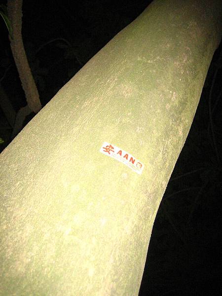 爬樹必備的安樂團貼紙