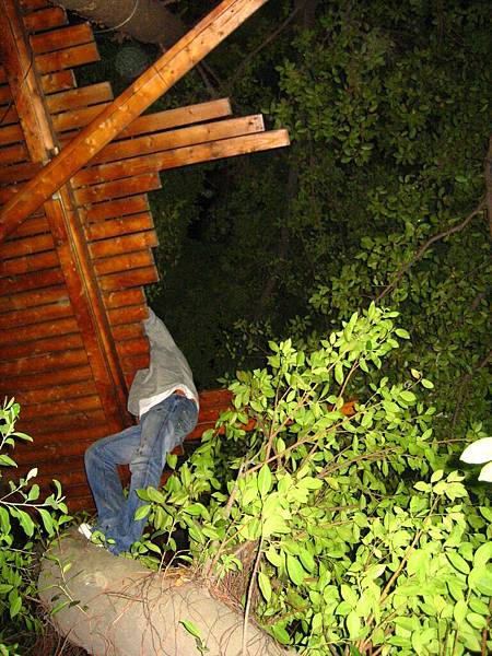 一樣是上山容易下山難