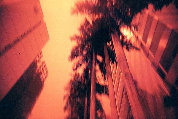 [46-Solaris 800 redscale with Vivitar UWS]Negative0-32-28A(1)